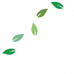Leaves Blowing